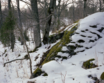 detail 1