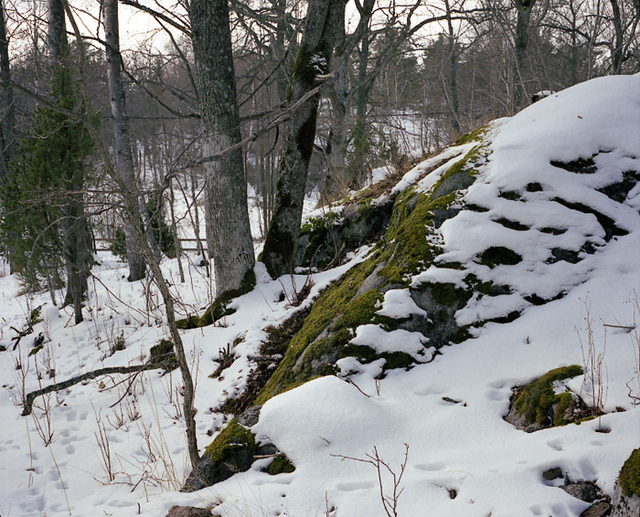 detail 1