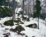 detail 2