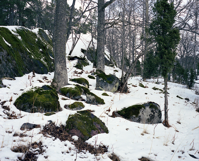 detail 2