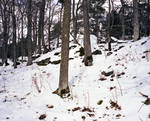 detail 3