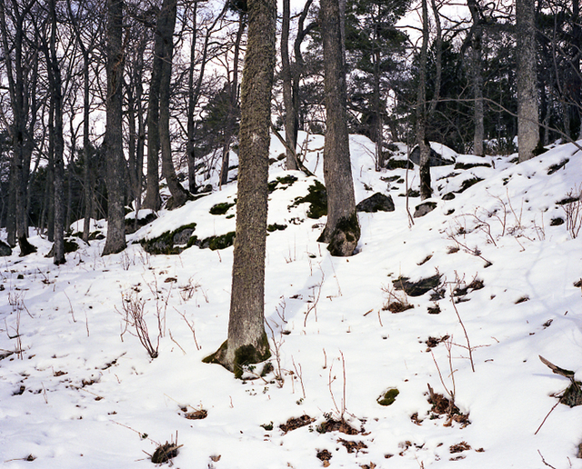 detail 3