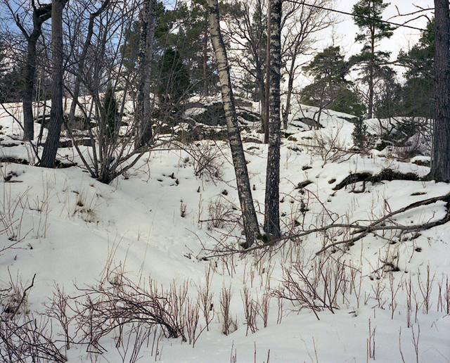 detail 4