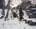 detail 5