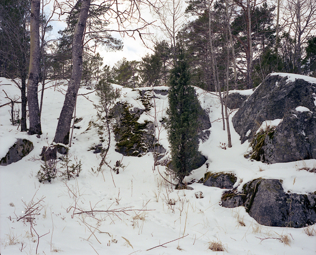 detail 5
