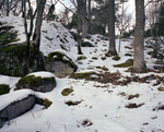 detail 6