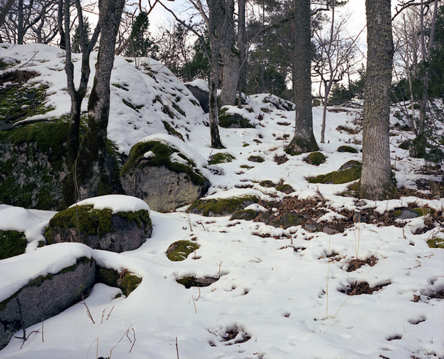 detail 6