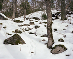 detail 7