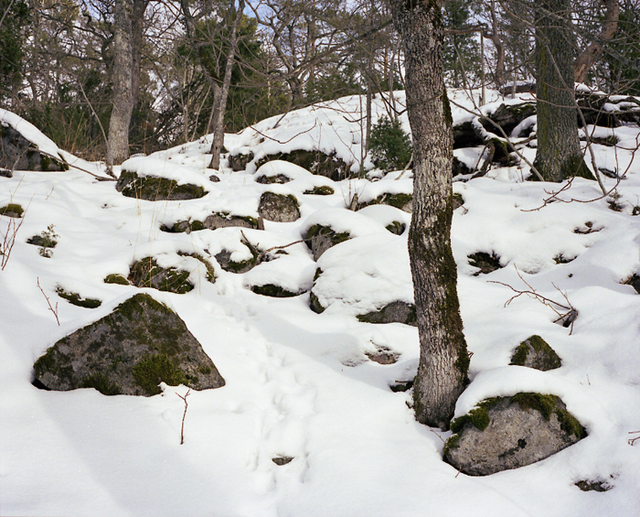 detail 7
